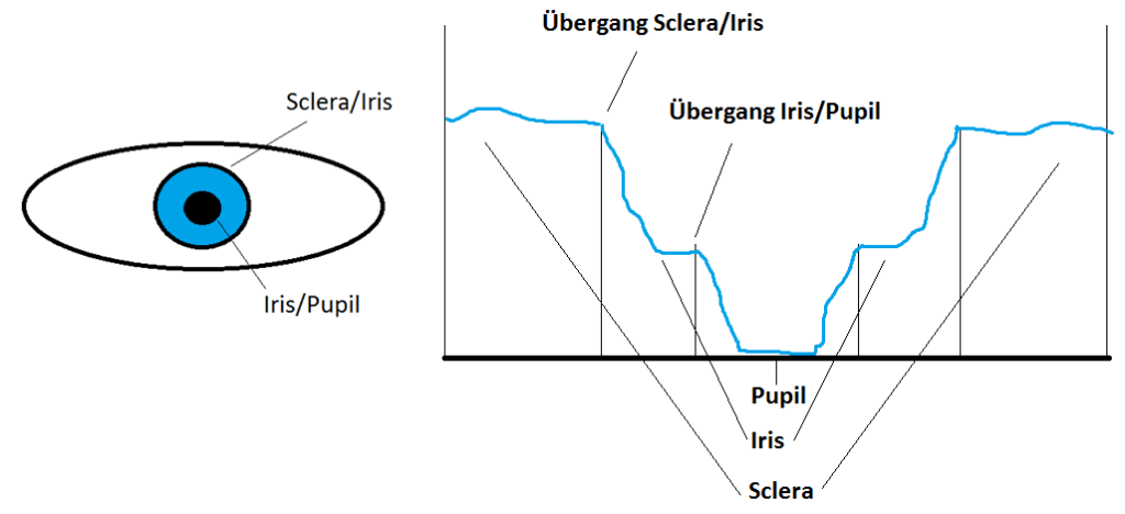 Segmentierung des Auges